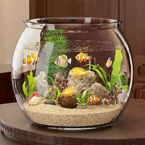 Fish tank living room small mini Douyu tank household tabletop ecological tank self circulating back filter goldfish tank https://tinyurl.com/27osv9aq