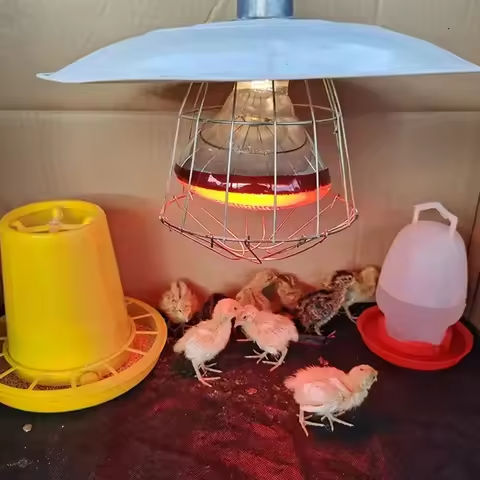 E27 Infrared Heat Lamp for Chickens 220V 100-275 Watts Red Heat Lamp Bulb Heat Light Bulb for Brooder Coop Chicks Pet Reptile https://tinyurl.com/27t96uf7